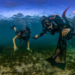 Подводные фотографы запечатлели, насколько загрязнен океан. Фото Рози Леани (ООН)