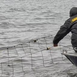 Из залива извлекли в общей сложности свыше 2 км рыболовных сетей и более 4,5 тыс. самоловных крючьев. Кадр оперативной съемки