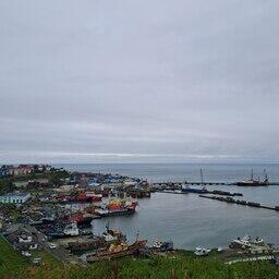 Корсаковский городской суд рассмотрит дело о незаконной добыче морского гребешка с крупным ущербом. Архивное фото