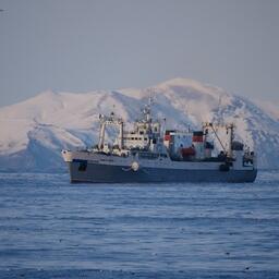 Рыбный промысел на Дальнем Востоке. Фото предоставлено «Океанрыбфлотом»