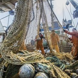 Рыбаки Приморья увеличили вылов. Фото пресс-службы краевой администрации