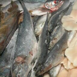 Выпуск мороженой рыбы показал умеренный рост