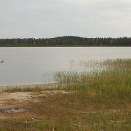 Озеро в Курганской области. Фото из «Википедии»