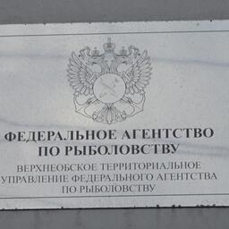 Торги организует Верхнеобское теруправление Росрыболовства. Архивное фото