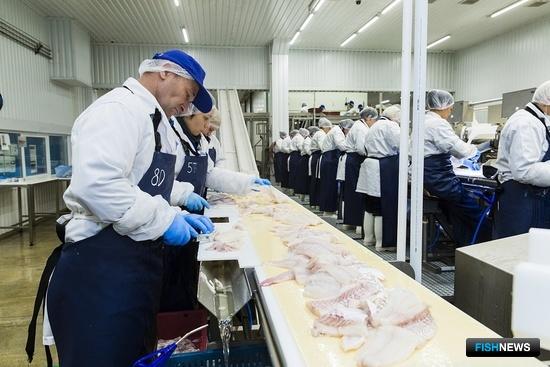 Рыбоперерабатывающий завод в Мурманской области. Фото пресс-службы правительства региона