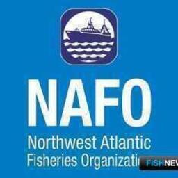Научный совет Организации по рыболовству в северо-западной части Атлантического океана (НАФО, NAFO) рекомендовал общие допустимые уловы на 2025 г.