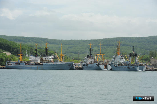 «Приморец»: Наша стратегия – обновление флота и сохранение кадров