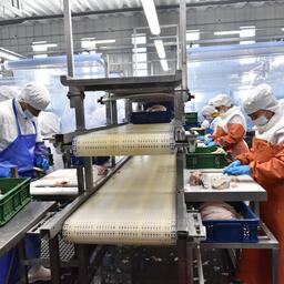 Правительство утвердило порядок обследования предприятий для экспорта продукции, подлежащей ветконтролю