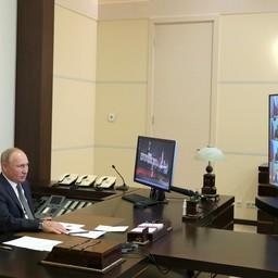 Президент Владимир ПУТИН на видеовстрече с избранными главами регионов. Фото пресс-службы главы государства