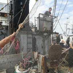 В Азовском море работает экспедиция по оценке рыбных запасов. Фото пресс-службы АзНИИРХ