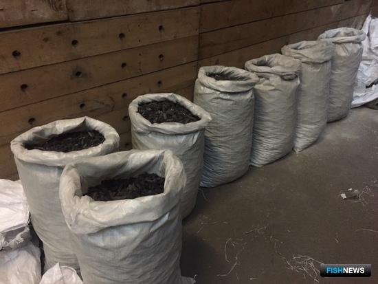 В Поднебесную злоумышленник хотел переправить 112 мешков «морского огурца». Фото пресс-службы ДВОТ