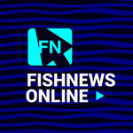 Коммуникационная платформа медиахолдинга «Фишньюс» вот уже 5 лет собирает экспертов по разным вопросам