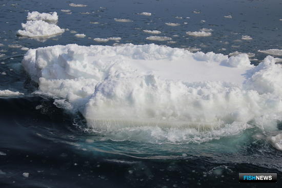 В спорах по Арктике не хватает голоса рыбаков и ученых