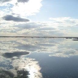 Ледоход в дельте Северной Двины. Фото из «Википедии»