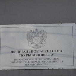 Организатором торгов выступает Верхнеобское теруправление Росрыболовства