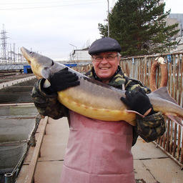 Заведующий лабораторией рыбоводства Евгений Рачек с кастером