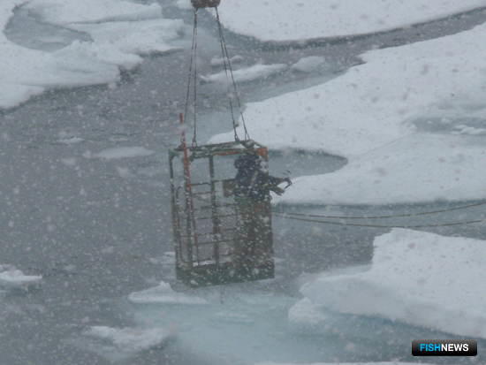 Российские ученые проводят исследования в Арктике