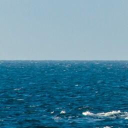 ЕС возвращается к диалогу с Марокко по доступу к водам