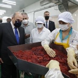 Премьер Михаил МИШУСТИН осмотрел перерабатывающий комплекс «Ясный». Фото пресс-службы правительства