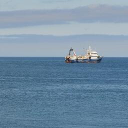 Предложенные ограничения по возрасту флота вызвали большой резонанс в отрасли. Архивное фото