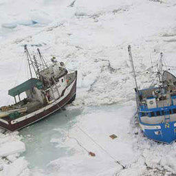 Рыбаки и зверобои вырвались из ледового плена вблизи Ньюфаундленда