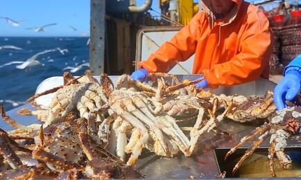 Промысел краба на Дальнем Востоке. Архивное фото