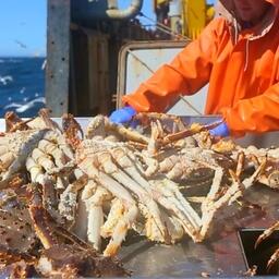 Промысел краба на Дальнем Востоке. Архивное фото