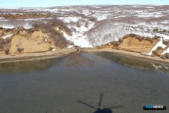 Авиаучетные исследования олюторской сельди на северо-востоке Камчатки. Фото пресс-службы КамчатНИРО