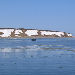 Морские охотники ЧАО не останутся без добычи. Архивное фото