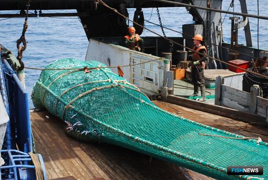 Специалисты Атлантического НИИ рыбного хозяйства и океанографии провели съемки в исключительной экономзоне Королевства Марокко. Фото пресс-службы института