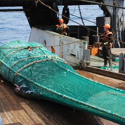 Специалисты Атлантического НИИ рыбного хозяйства и океанографии провели съемки в исключительной экономзоне Королевства Марокко. Фото пресс-службы института