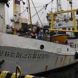 Научное судно «Убежденный» приступило к исследованиям в водах Приморья. Фото пресс-службы ТИНРО
