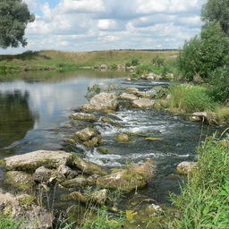 Пороги на реке Пьяне в городе Перевоз. Фото Gatinskiy Ilya («Википедия»)
