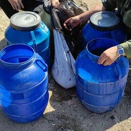 В руки инспекторов и пограничников попало более 4 тыс. трепангов. Фото пресс-службы Дальневосточного морского заповедника