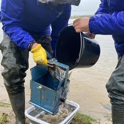 Всего отобрано несколько десятков различных проб. Фото пресс-службы Главрыбвода