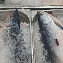 Охлажденная горбуша