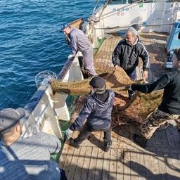 НИС «Гидробиолог» провело комплексную траловую съемку в северной части Каспийского моря. Фото пресс-службы КаспНИРХ