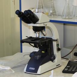 Специалисты провели комплексные гидрохимические исследования на крупнейших реках Камчатского края. Архивное фото