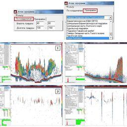 Примеры акустических изображений из атласа: 1 — минтай (Охотское море, Западная Камчатка); 2 — тихоокеанская сельдь (Охотское море, залив Шелихова); 3 — японская скумбрия (СЗТО); 4 — дальневосточная сардина (СЗТО). Изображение предоставлено пресс-службой ТИНРО