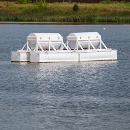 Кормушка на рыбоводном пруду в Подмосковье