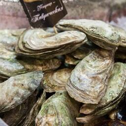 Участки под марикультуру в Азовском море разошлись по пользователям