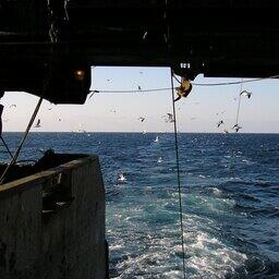 Рыбный промысел на Дальннем Востоке