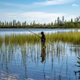 В Ямало-Ненецком автономном округе с осени будут действовать новые правила рыболовства. Фото пресс-службы регионального департамента АПК