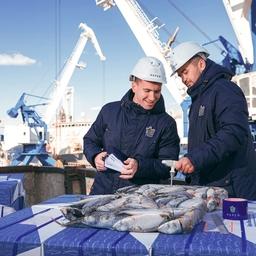 Прием рыбы в порту. Рыбопродукция проходит тщательную проверку на всех этапах
