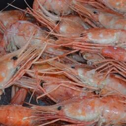 По версии следствия, обвиняемые незаконно добыли и сварили более 95 тыс. креветок