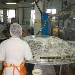 Власти Севастополя стимулируют развитие местной рыбопереработки. Фото пресс-службы АЧТУ ФАР