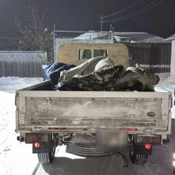 Первую партию браконьерской рыбы нашли в остановленном грузовике. Фото пресс-службы регионального МВД