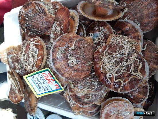 На ярмарке «Дальневосточная рыба» холдинг «Антей» предложил покупателям различную продукцию из иваси