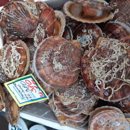 На ярмарке «Дальневосточная рыба» холдинг «Антей» предложил покупателям различную продукцию из иваси