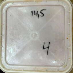 Один из изъятых контейнеров с икрой. Фото пресс-службы УТ МВД России по ДФО